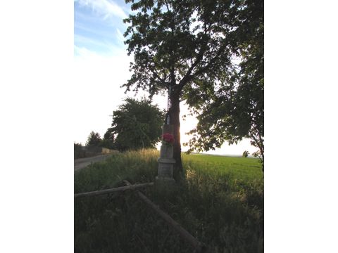 Foto 45